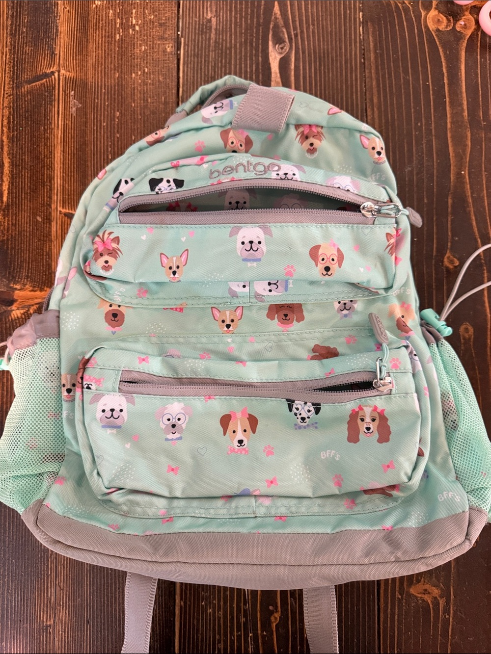 Bento Mint Green Kids Backpack with Puppy Print